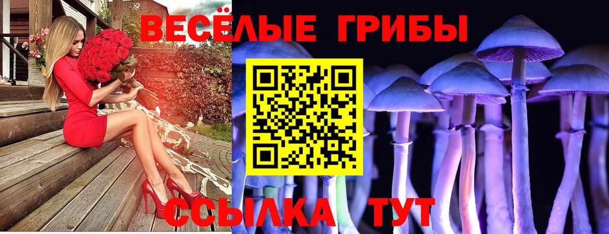 Псилоцибиновые грибы Psilocybine cubensis Урай