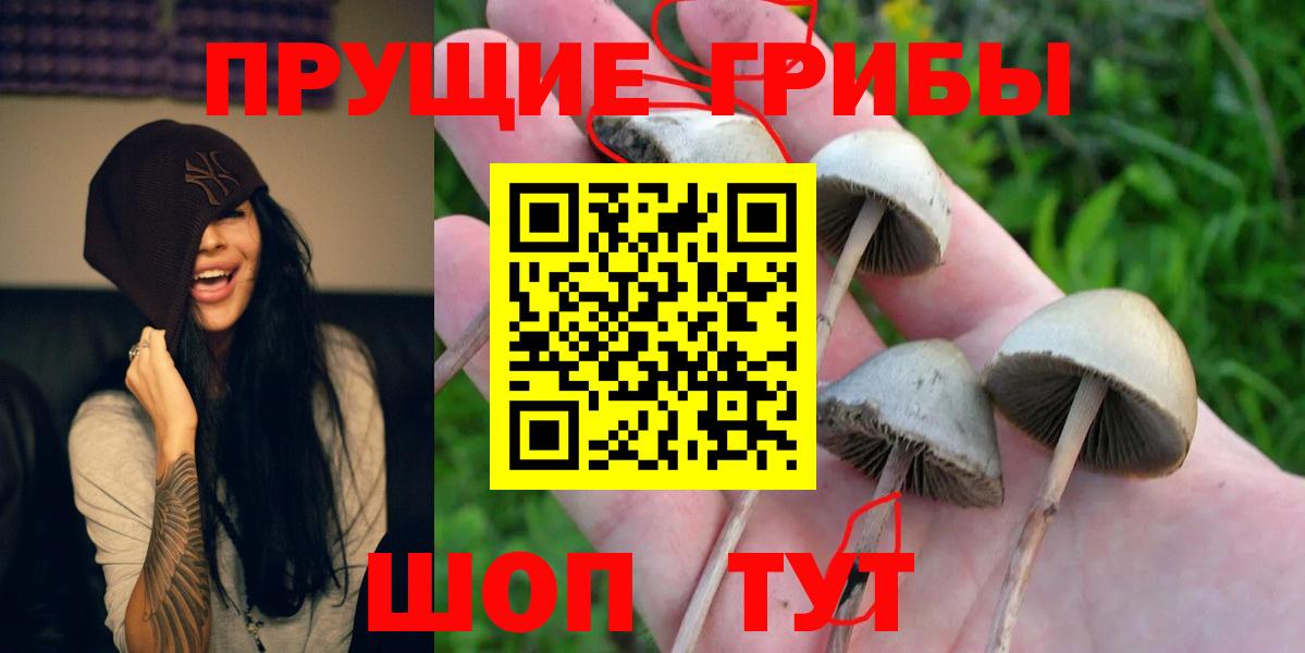 Урай  Псилоцибиновые грибы мицелий  Вход с VPN 